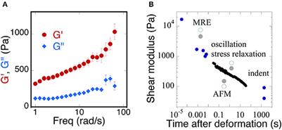 Glial Tissue Mechanics and Mechanosensing by Glial Cells